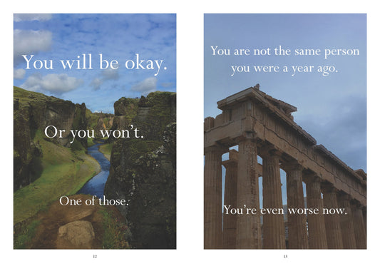 Sorry In Advance for Making Things Weird - A Disappointing Affirmations Book