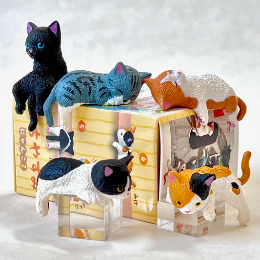 Resting Cats Mini Figure Blind Box