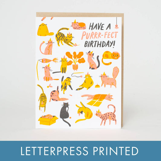 Have A Purrr-fect Birthday Card