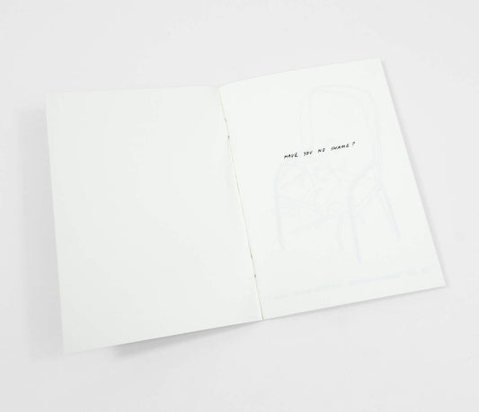 Routine Questions For The Cat - Riso Printed Zine