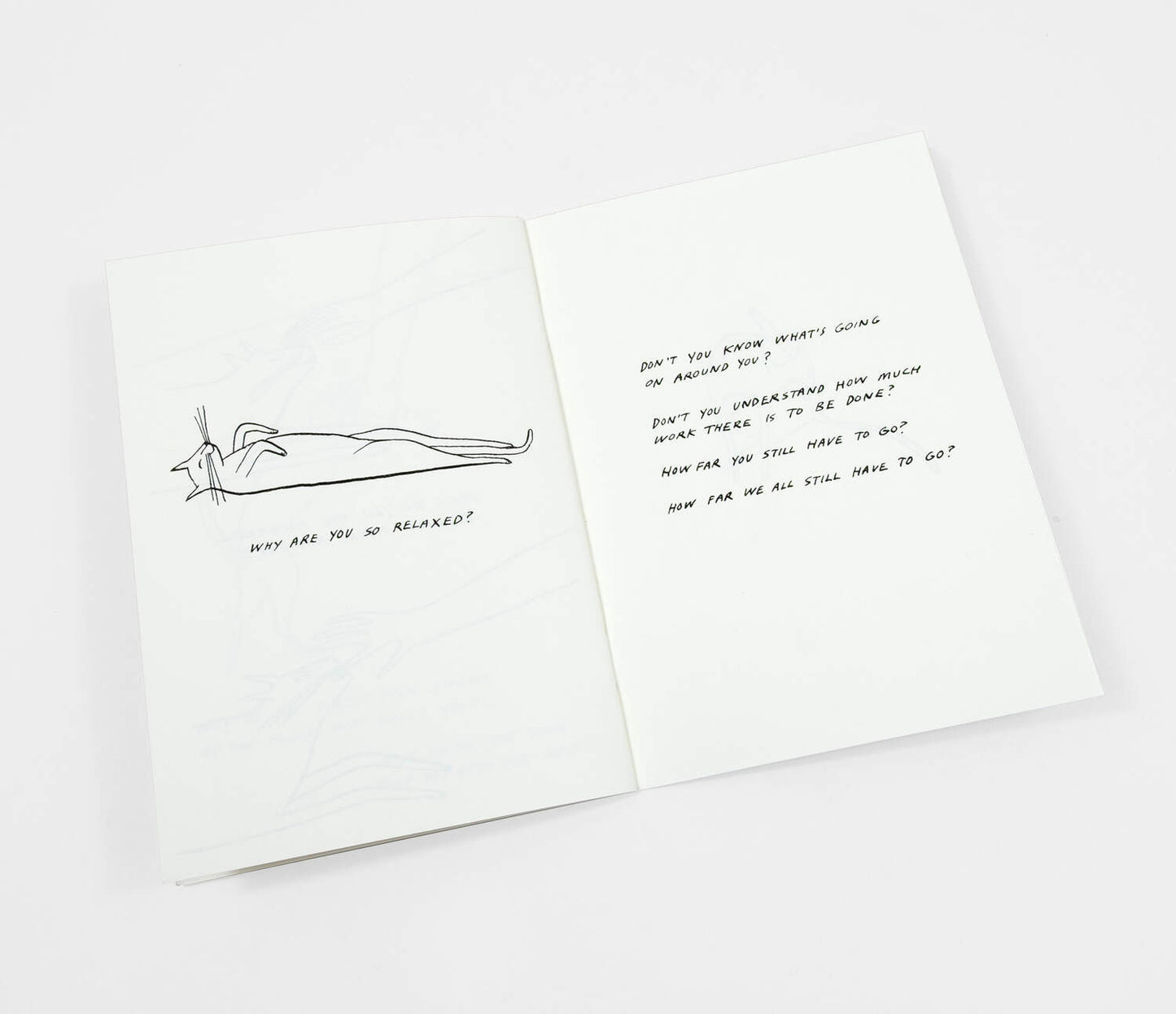 Routine Questions For The Cat - Riso Printed Zine