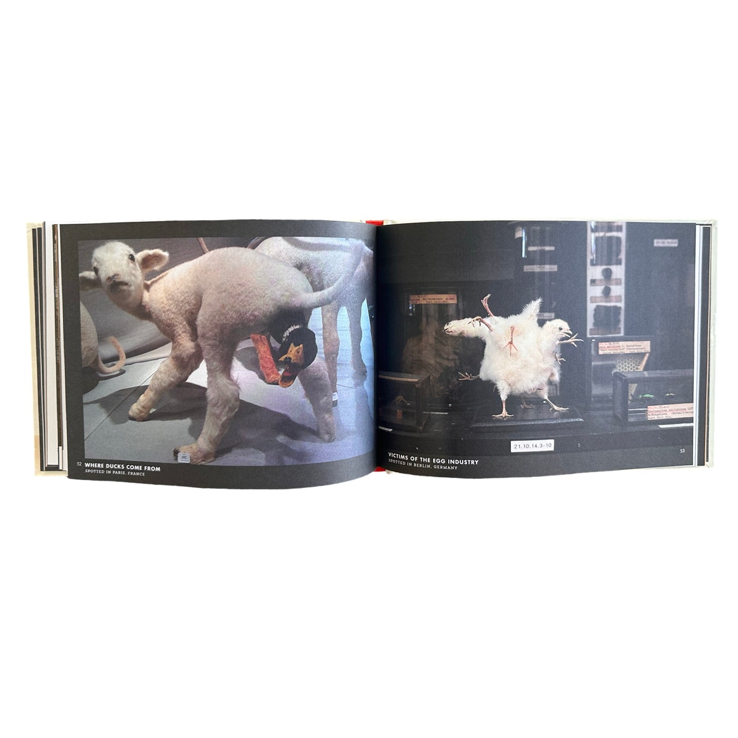 Crap Taxidermy Book