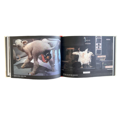 Crap Taxidermy Book