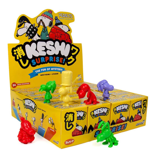 Snoopy Keshi Surprise Blind Box