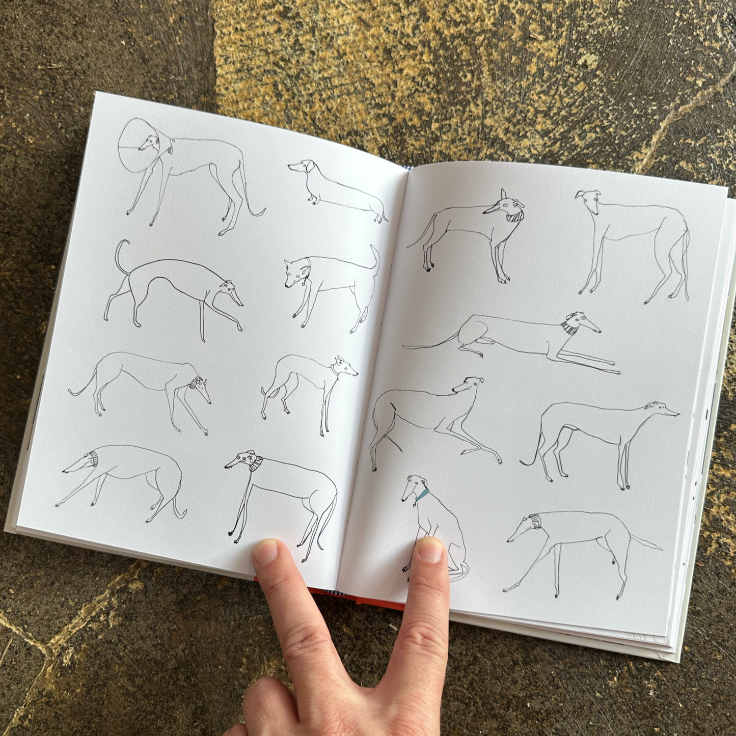 Tell Your Dog I Love Them Book
