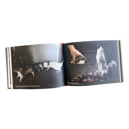 Crap Taxidermy Book