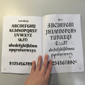 100 Calligraphic Alphabets Book