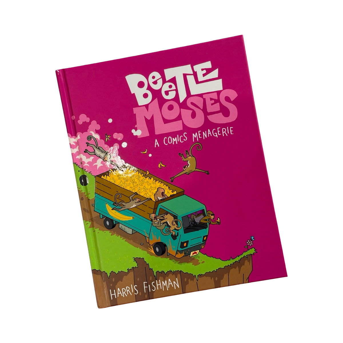 Beetle Moses - A Comics Menagerie
