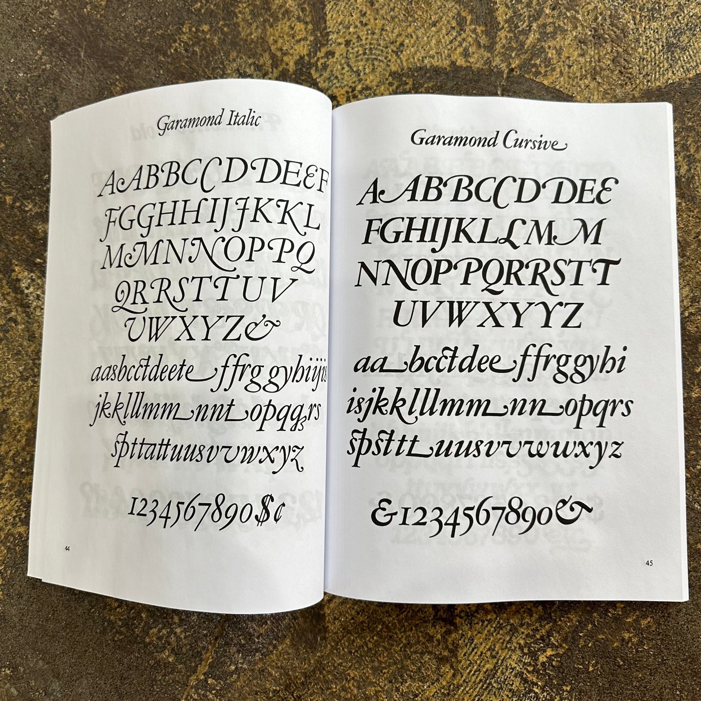 Swash Letter Alphabets 100 Complete Fonts Book