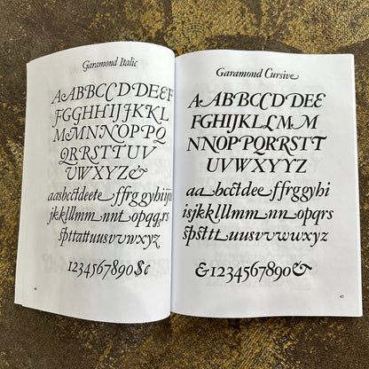 Swash Letter Alphabets 100 Complete Fonts Book