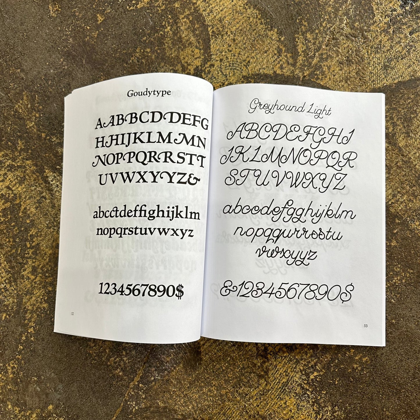 Swash Letter Alphabets 100 Complete Fonts Book