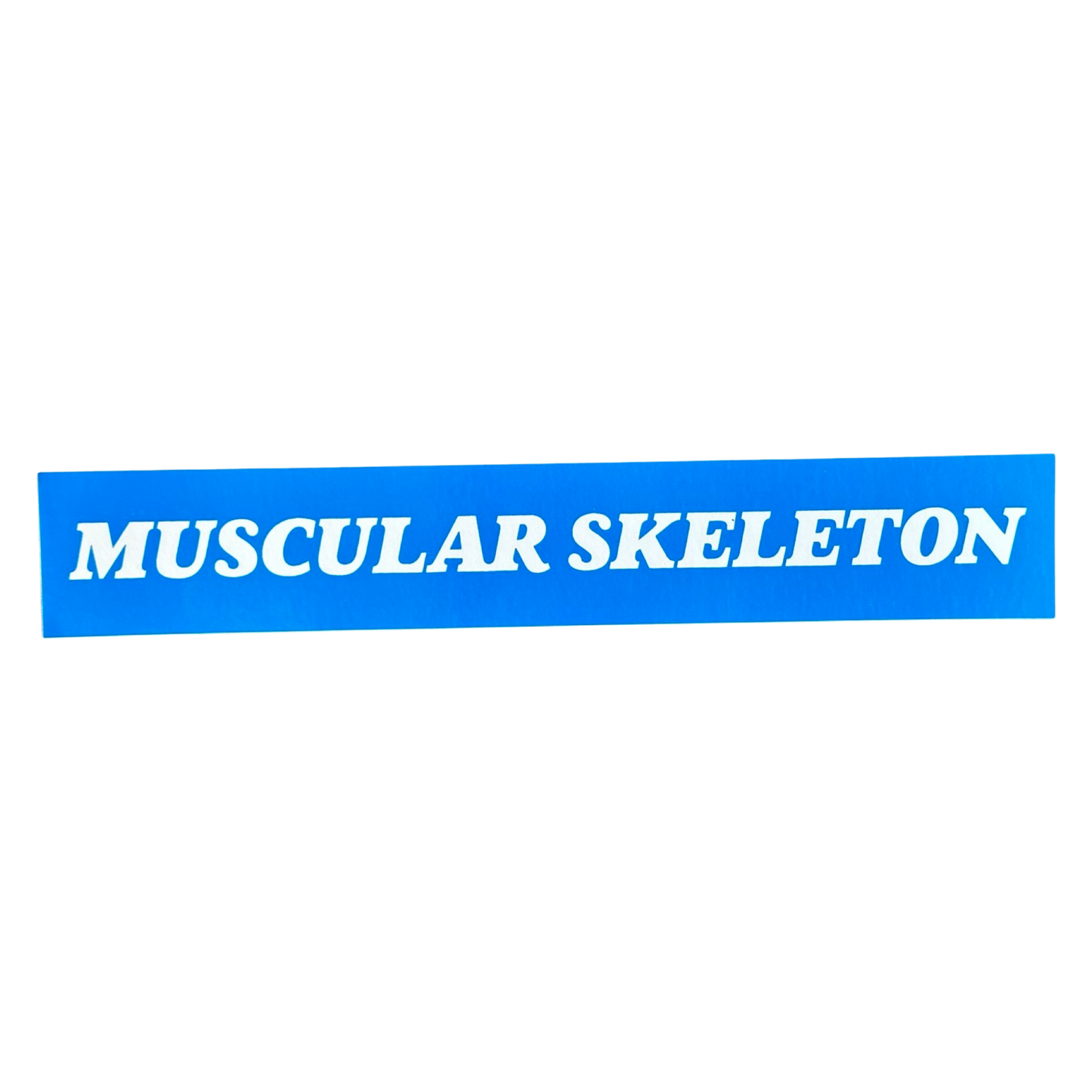 Muscular Skeleton Bumper Sticker