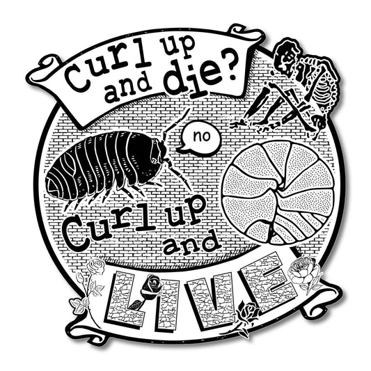 Curl Up And Die? No. Sticker