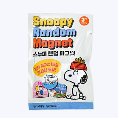 Peanuts Snoopy & Friends Magnet Mystery Random Box