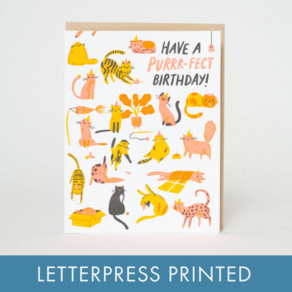 Have A Purrr-fect Birthday Card