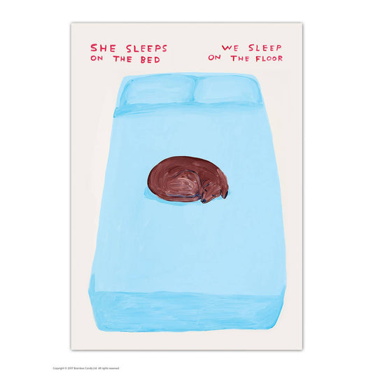 She Sleeps On The Bed - Art Postcard David Shrigley
