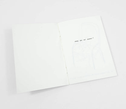 Routine Questions For The Cat  - Riso Printed Zine