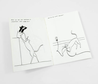 Routine Questions For The Cat  - Riso Printed Zine