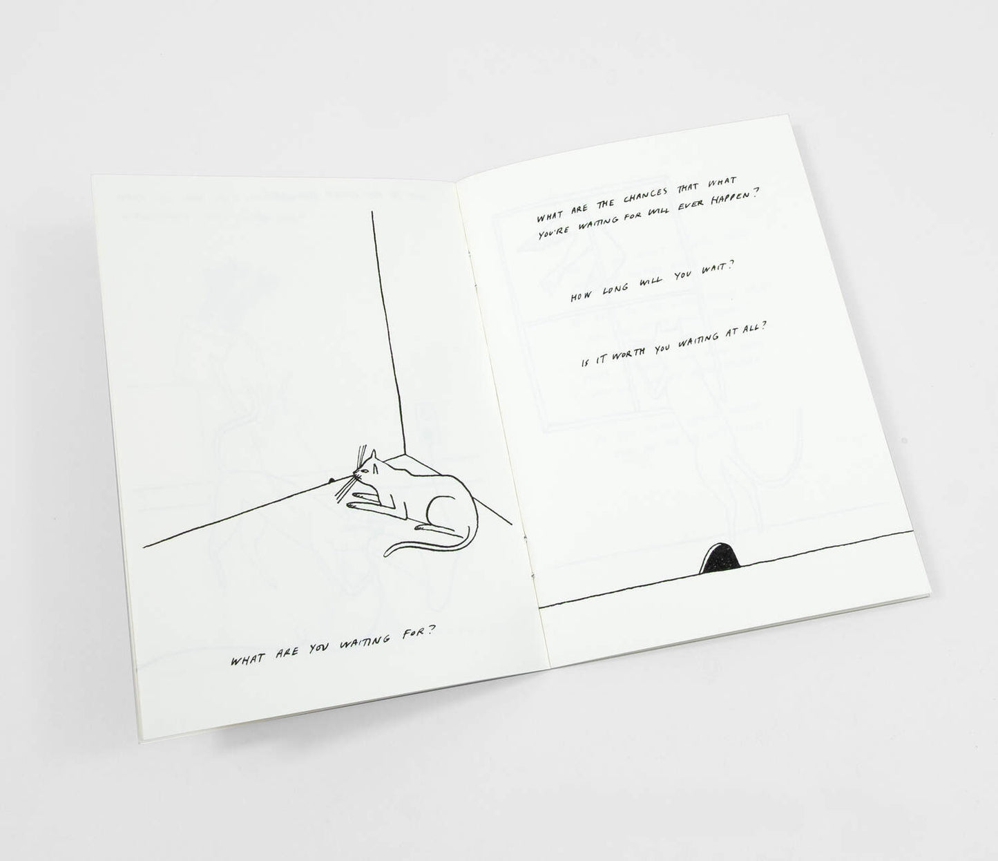 Routine Questions For The Cat  - Riso Printed Zine