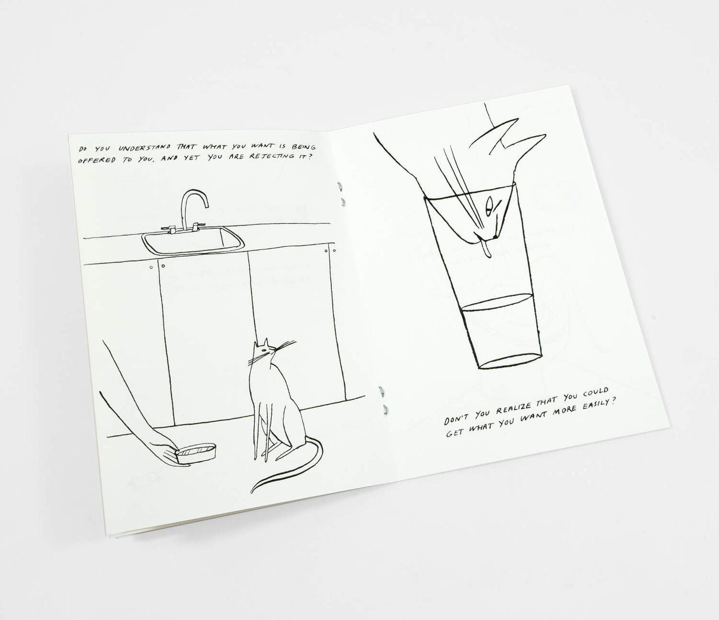 Routine Questions For The Cat  - Riso Printed Zine