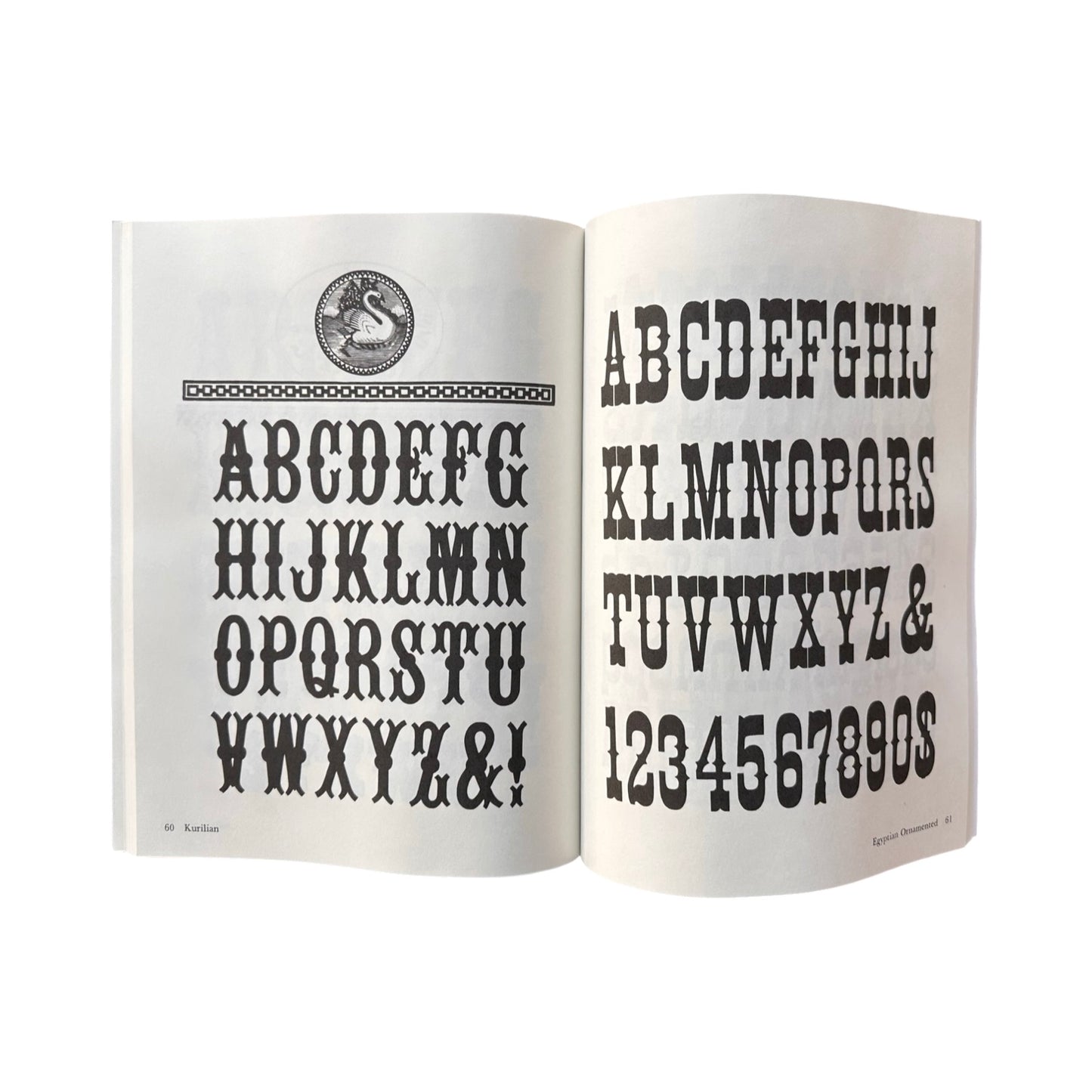 100 Wood Type Alphabets