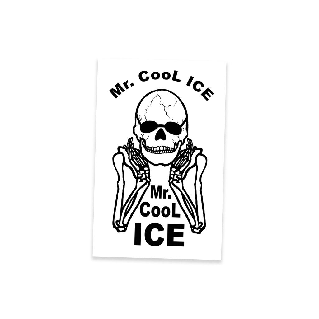 Mr. Cool Ice Sticker - World Famous Original