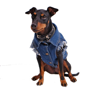 Flower LV Denim Vest For Dogs