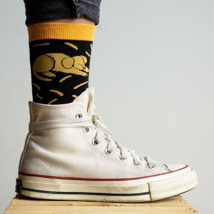 Dog Hair Everywhere Socks