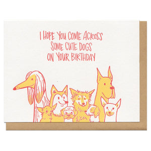 I Hope You Come Across Cute Dogs Birthday Card
