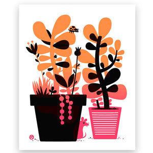 Sunset Succulents 8x10" Print